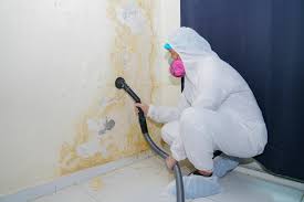 Best Comprehensive Air Testing for Mold Contaminants  in Edina, MN